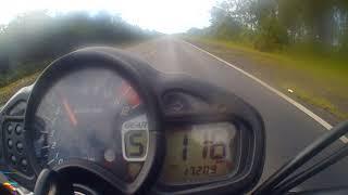 Top speed gladius 650