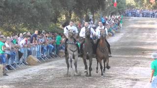 pariglie abbasanta esibizione pariglia di nuoro  30.08.2015