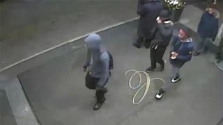 Central Park Robbery Suspects