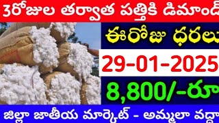 మార్కెట్లో పత్తి ధరలు 29-01-2025 Today cotton rate | cotton rate today || #pattidhralu Increase