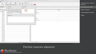 BioloMICS: Pairwise sequence alignment