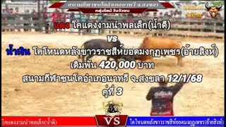 คู่ที่ 3 สนามกีฬาชนโคอำเภอนาทวี จ.สงขลา 12/1/68 🔴#แดงงามนำพลเล็กvs🔵#โหนดหลังขาวราชสีห์ยอดมงกุฏเพชร