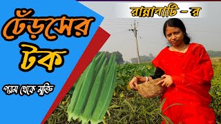 ঢেঁড়শ সর্ষে রেসিপি || Dharosh Tok || Dharosh Recipe | Bhindi Recipe || Vendi Recipe