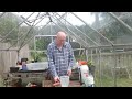 homemade blight control spray gardening allotment uk grow vegetables at home