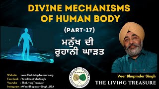 Divine Mechanisms of Human Body- Part-17 | ਮਨੁੱਖ ਦੀ ਰੁਹਾਨੀ ਘਾੜਤ |Short video by Veer Bhupinder Singh