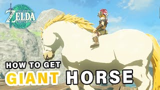 Where to find the Giant Horse ► Zelda: Tears of the Kingdom