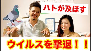 【鳩フン被害と鳥害対策】驚愕！！鳩フンを放置するとどうなるのか…