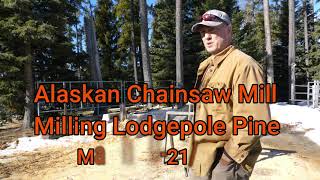 Alaskan Chainsaw Mill - Milling Lodgepole Pine