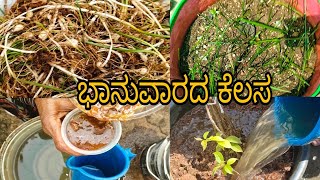 #ಎರಡು_ದಿನದಿಂದ_ಮಳೆ_ಇಲ್ಲ_ಈಲಿಕ್ವಡ್_ಕೊಡುವ//