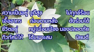 ประมวลธรรมคำพุทธ 132 ธรรมมงคล ๓๘ p2