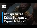 Bagaimana Politik Beras yang Menggeser Sagu di Papua Bisa Ancam Ketahanan Pangan Lokal?