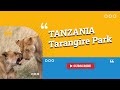 Tanzania - Tarangire Park - November 2022