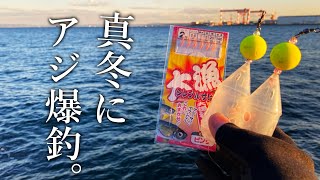 真冬でもアジが入れ食い！［集魚剤＋アミコマセ］で港湾ぶっこみサビキ釣りをしてみた