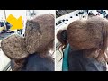 Girl refuses to comb her hair until hairdresser discovers something shocking in her hair