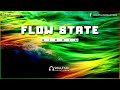 FLOW STATE RIDDIM - [Free] Reggae Instrumental Beat 2024