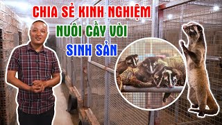 Khám Phá Trại Cầy Vòi Mốc Siêu To ở Phú Thọ - Bí Quyết Nuôi Chồn Mốc Sinh Sản Hiệu Quả || LamNongTV