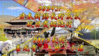 2024.11日本新潟長野東京秋日賞楓紀行DAY.3長野 善光寺／上田／小諸