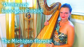Primavera (Ludovico Einaudi / The Intouchables) Harp Cover + Sheet Music - The Michigan Harpist