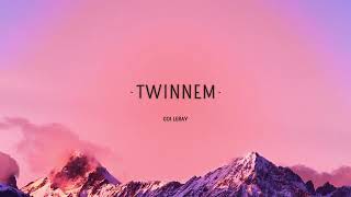 Twinnem Coi Leray Lyrics