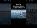 【海辺つり公園】横須賀市ポカボカ陽気に娘との釣行、でかサバ狙い