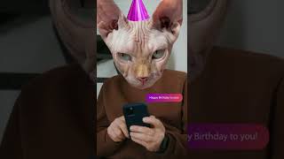 Party Cat sends Birthday text to you! 🐱 #shorts