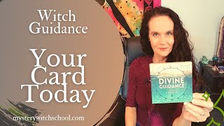 Witch Guidance Oracle Card Message  - Take a Step Back