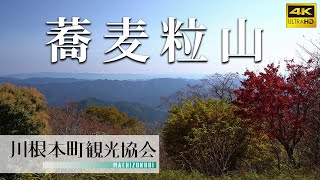 川根本町の秘境！大札山～蕎麦粒山