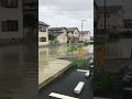 2018年7月7日　大豪雨でお堀から水が溢れた時の状況　岡山県岡山市