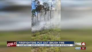 Fire fighters put out brush fire off Immokalee Road