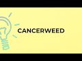 What is the meaning of the word CANCERWEED?