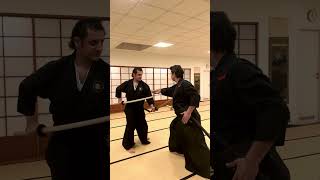 Kenjutsu Köln - Genko Nito Ryu Kenjutsu Kata Kasumi