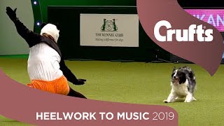 Kung Fu Panda at Crufts! Heelwork To Music | Crufts 2019