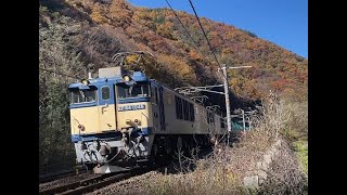 紅葉の木曽路を行くEF64重連 昭和53年製 41年走り続けてます