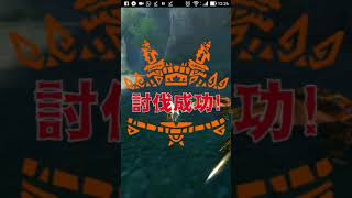 MHXR【完勝+a】槌@キリン雷帝種武技書solo