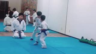 2019年10月29日　兵庫県尼崎市武庫町　小学生空手　志道会