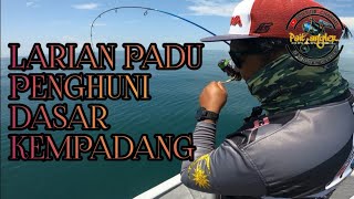 Di asak padu!!! micro jigging kg. kempadang kuantan | tekong pok jeng