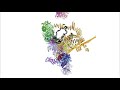 RNA Splicing by the Spliceosome: Supplemental Video 1 - An overview of pre-mRNA splicing