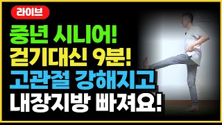 걷기대신 9분! 똥배 내장지방 빠지고 고관절 엄청 강해져요! 중년 시니어  요통 다이어트 근력 유산소 운동!!