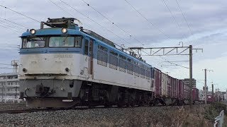 【JR貨物】５０７５レ ＥＦ８１ \u0026 ２０７２レ ＥＨ５００重連