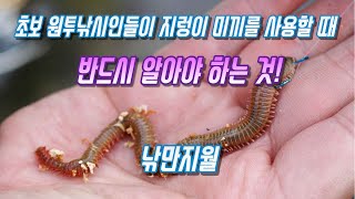 초보 원투낚시인들이 지렁이 미끼를 사용할 때 반드시 알아야 하는 것