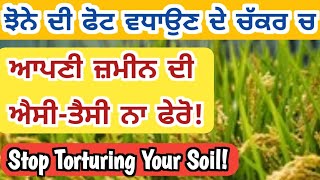 ਝੋਨੇ ਚ ਦਾਣੇਦਾਰ ਜ਼ਹਿਰ ਪਾਉਣਾ ਕਿੰਨਾ ਸਹੀ, ਕਿੰਨਾ ਗ਼ਲਤ? Stop Torturing Your Soil #paddy #pesticides  #jhona