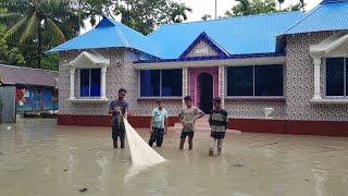 বন্যায় বাড়ির উঠানে মাছ ধরার শ্রেষ্ঠ ভিডিও ২০২৪ | Amazing Fishing At Home In Flood Water