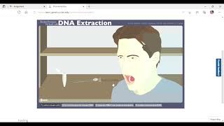 LAB 5 ASSIGNMENT: DNA EXTRACTION SIMULATION