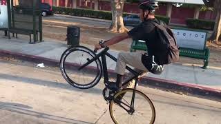 FIXIE GOONS TAKE OVER HOLLYWOOD