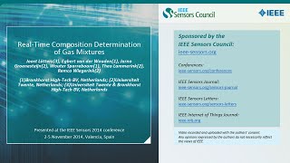 Real-Time Composition Determination of Gas Mixtures