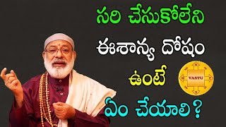 సరి చేసుకోలేని ఈశాన్య దోషం ఉంటే ఏం చేయాలి? | Danturi Pandarinath | Danturi Vastu