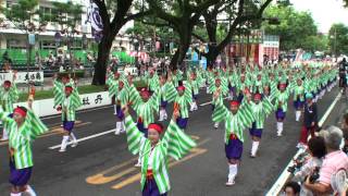 上町よさこい鳴子連　～2012高知よさこい祭り・本祭２日目(追手筋(南))