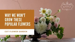 Why We Are NOT Growing These Popular Cut Flowers in 2020