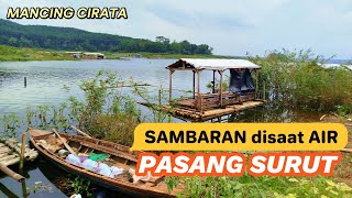 Mancing dekat Rumput KALIANDRA(GatGet)‼️ MANCING CIRATA TERBARU