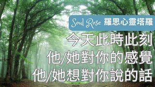 💞🌹 Soul Rose 塔羅占卜: 他/她今天此時此刻對你的感覺? 想對你說的話是... 🌹💞 (不限時間)